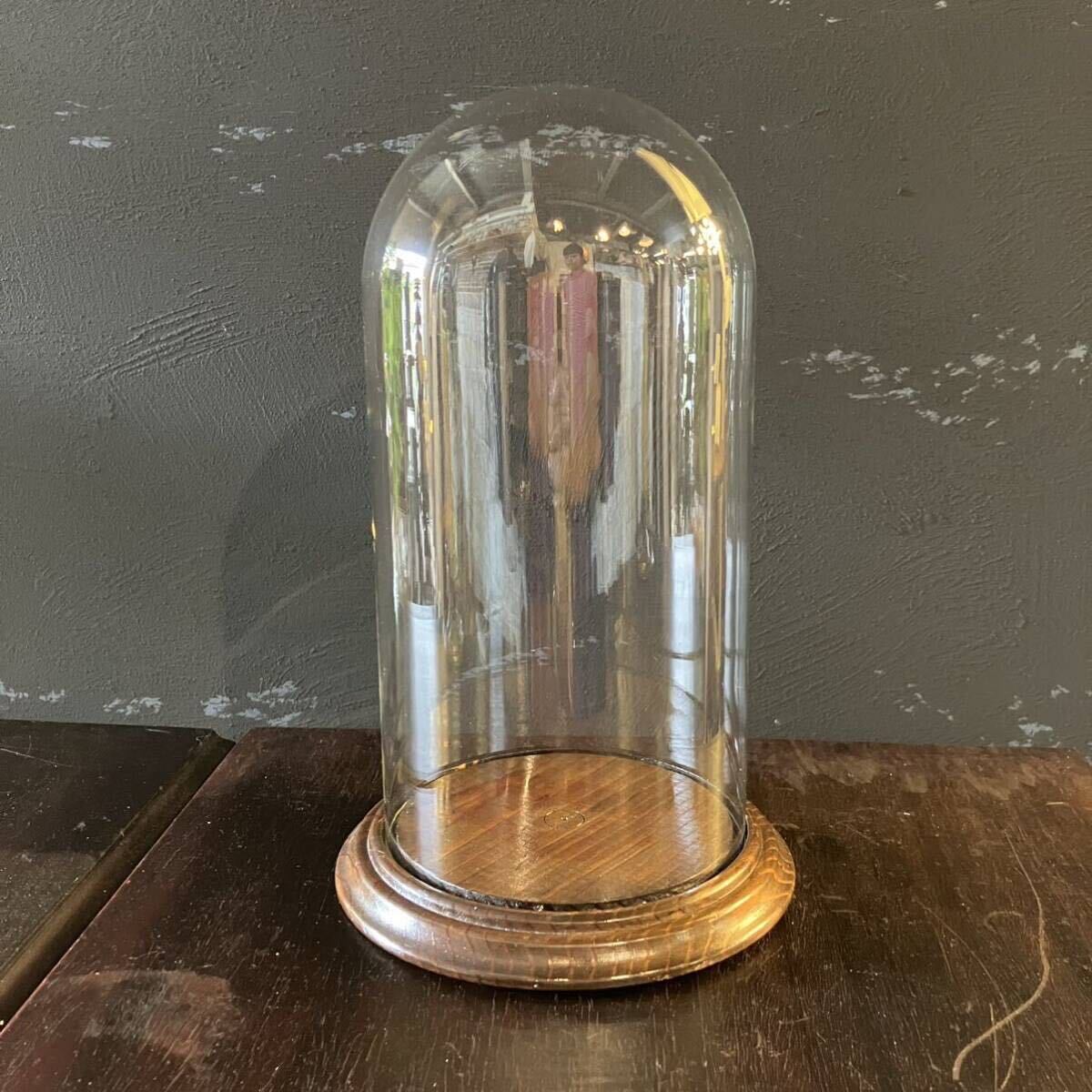 VINTAGE】ガラスドーム ガラスケース オブジェ店舗什器 antique VINTAGE】ガラスドーム ガラスケース オブジェ店舗什器 antique