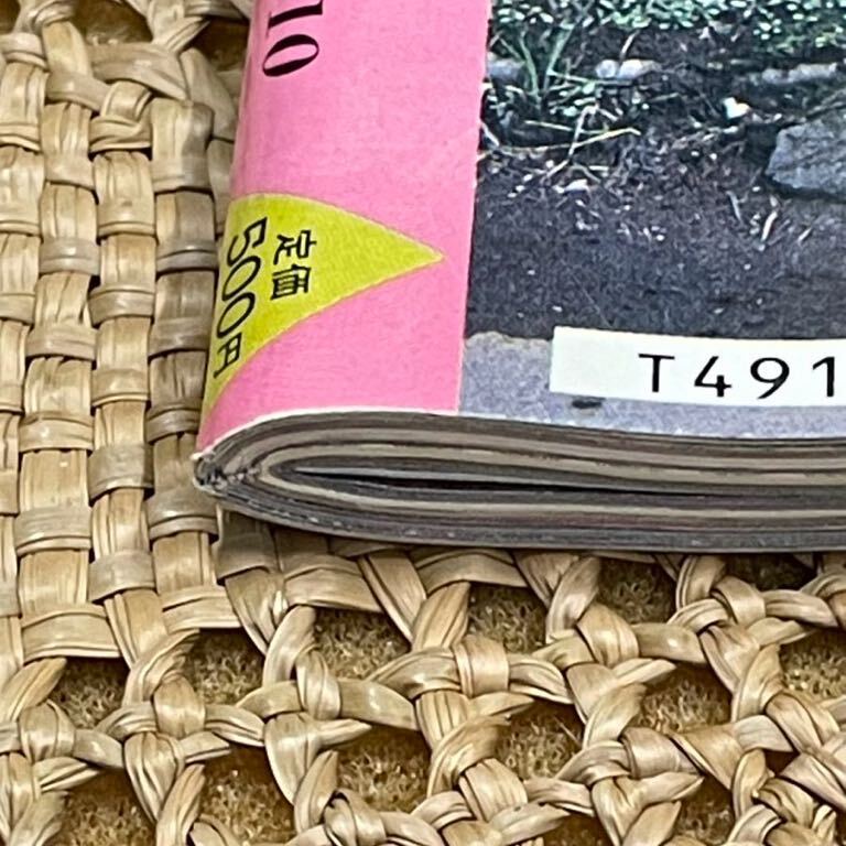 熱烈投稿 1989年 10月号 Vol.43 少年出版社 雑誌 マガジン 当時