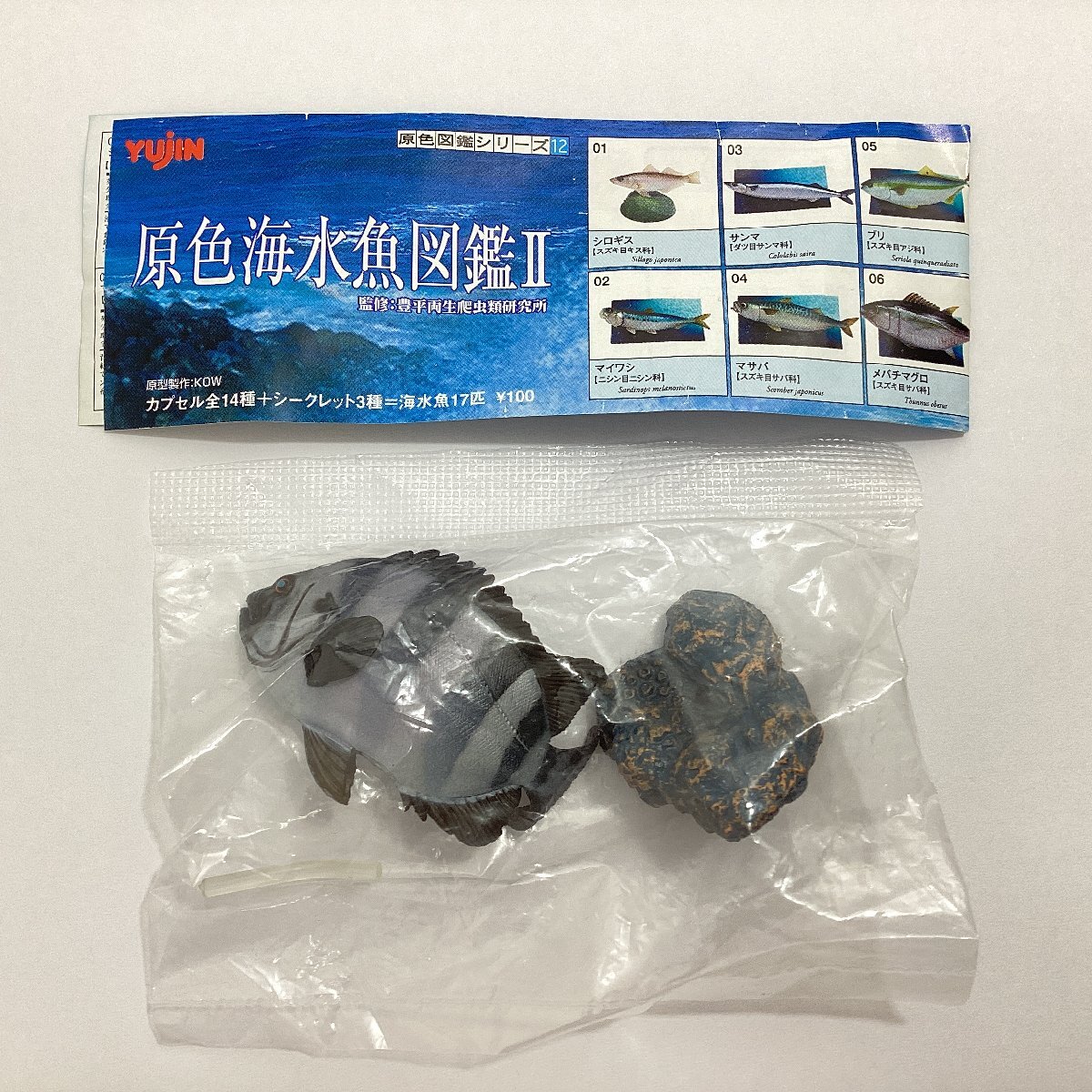 内袋未開封　ユージン　原色海水魚図鑑Ⅱ　08 イシダイ　ミニブック付き