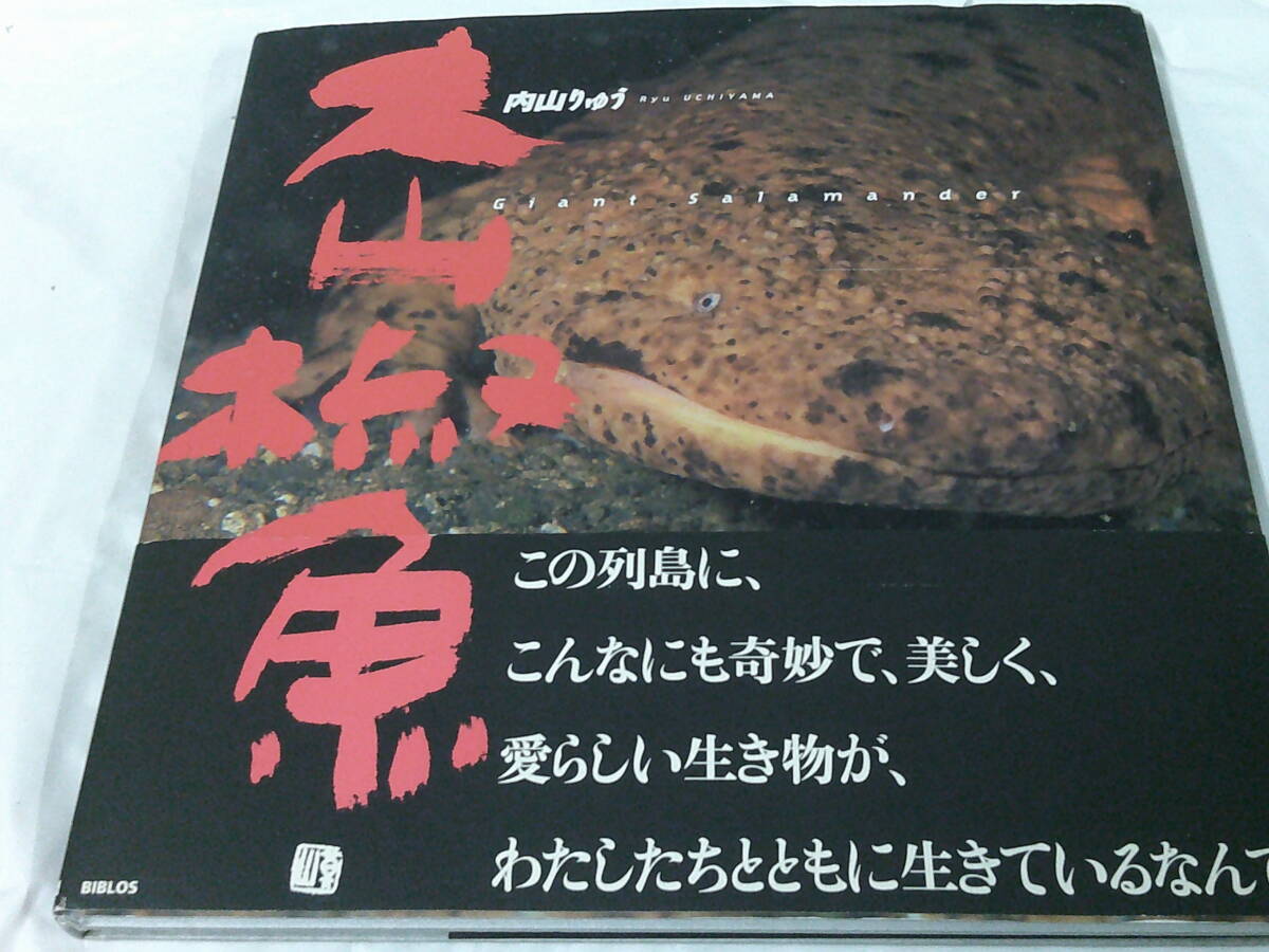 内山りゅう　大山椒魚 Giant salamander 2003年第1刷　ビブロス◆6*7