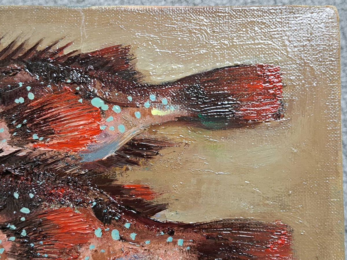 真作保証 秋山良太郎 油彩 SM号「双魚図」カサゴ 魚画名手 1968 真作保証 秋山良太郎 油彩 SM号「双魚図」カサゴ 魚画名手 1968