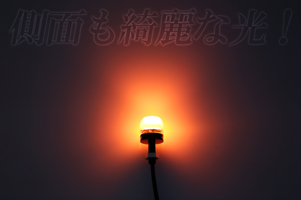 LED ボルト1個 ey ウィンカー（ブラック）グラストラッカー 送料無料