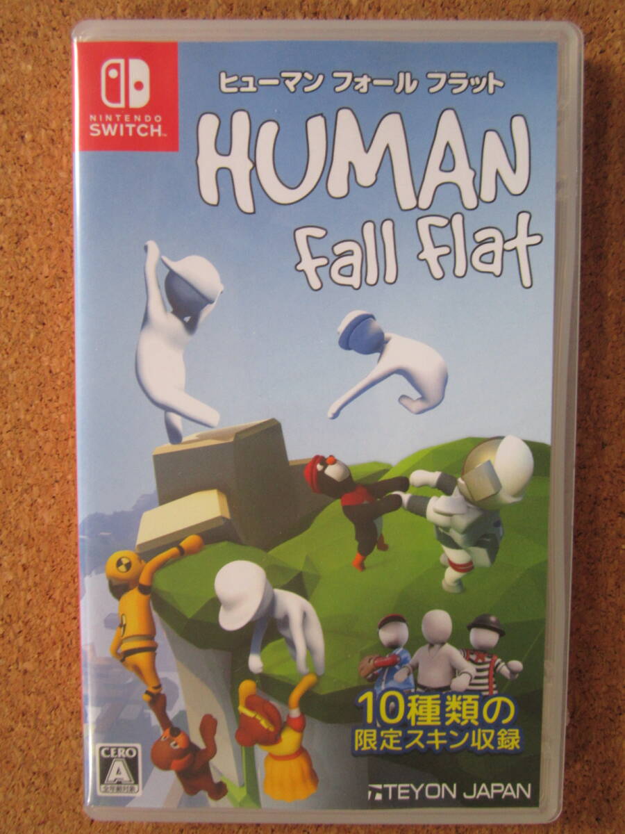 Switch ヒューマン フォール フラット