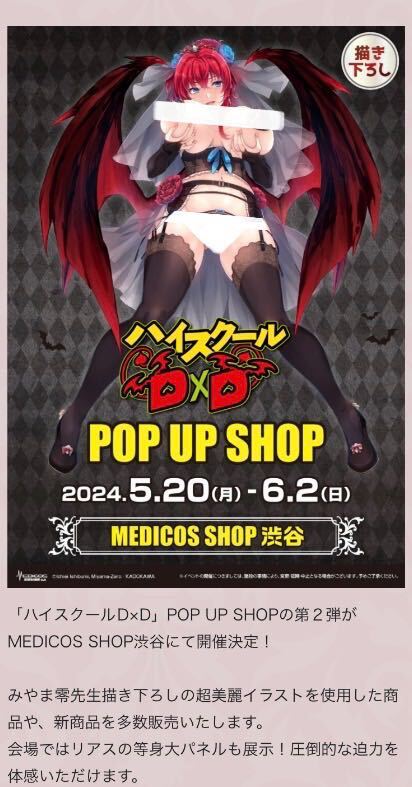非売品購入特典イラストカードコンプセット ハイスクールD×D POPUPSHOPみやま零先生描き下ろし.リアス朱乃子猫一誠アーシアロスヴァセ黒歌 非売品購入特典イラストカードコンプセット ハイスクールD×D POPUPSHOPみやま零先生描き下ろし.リアス朱乃子猫一誠アーシアロスヴァセ黒歌