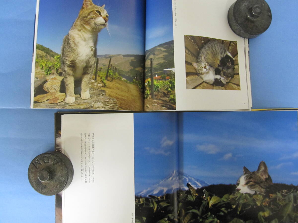 猫写真集 岩合光昭 全13冊セット『島の猫』『猫の恋』『世界ネコ 猫写真集 岩合光昭 全13冊セット『島の猫』『猫の恋』『世界ネコ