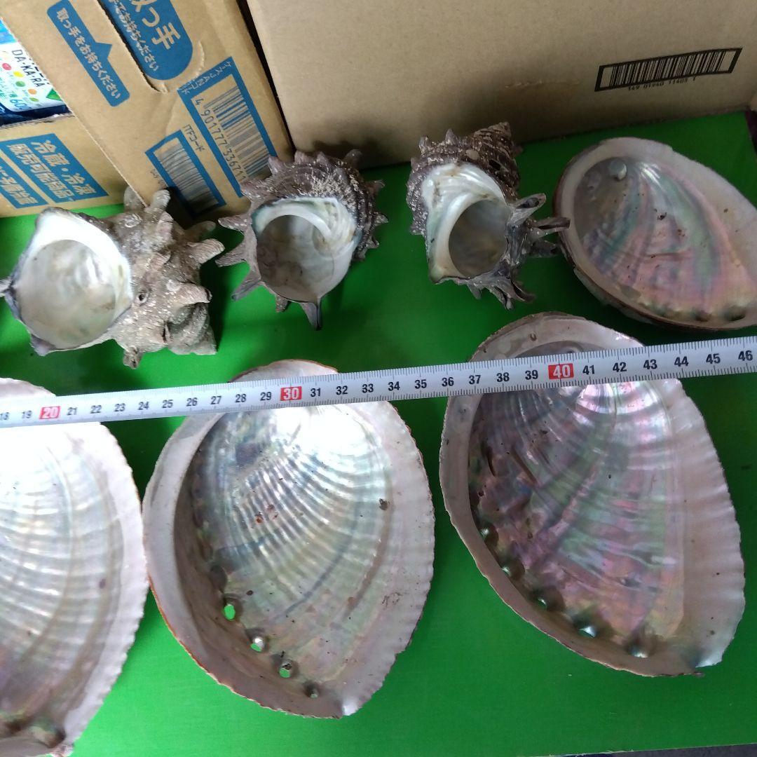 item_image_3