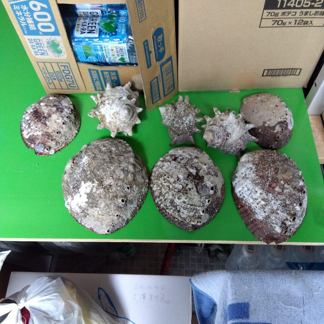 item_image_5