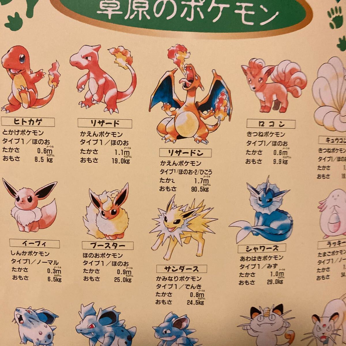 ポケモン フィギュア セット 初代 ヒトカゲ ゼニガメ フシギダネ ポケモン フィギュア セット 初代 ヒトカゲ ゼニガメ フシギダネ