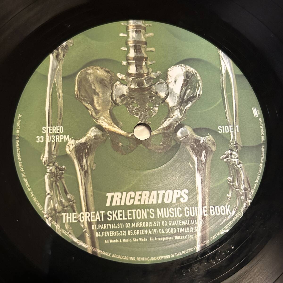 TRICERATOPS THE GREAT SKELETON'S MUSIC . - メルカリ