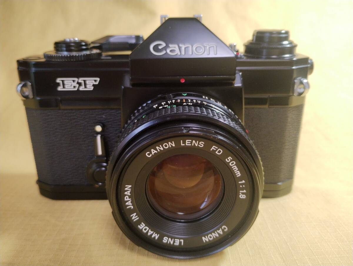 【とてもきれいな中古・実写】キャノン EF＋FD 50㎜・1：1.8 フィルムカメラ（S/N 500904）