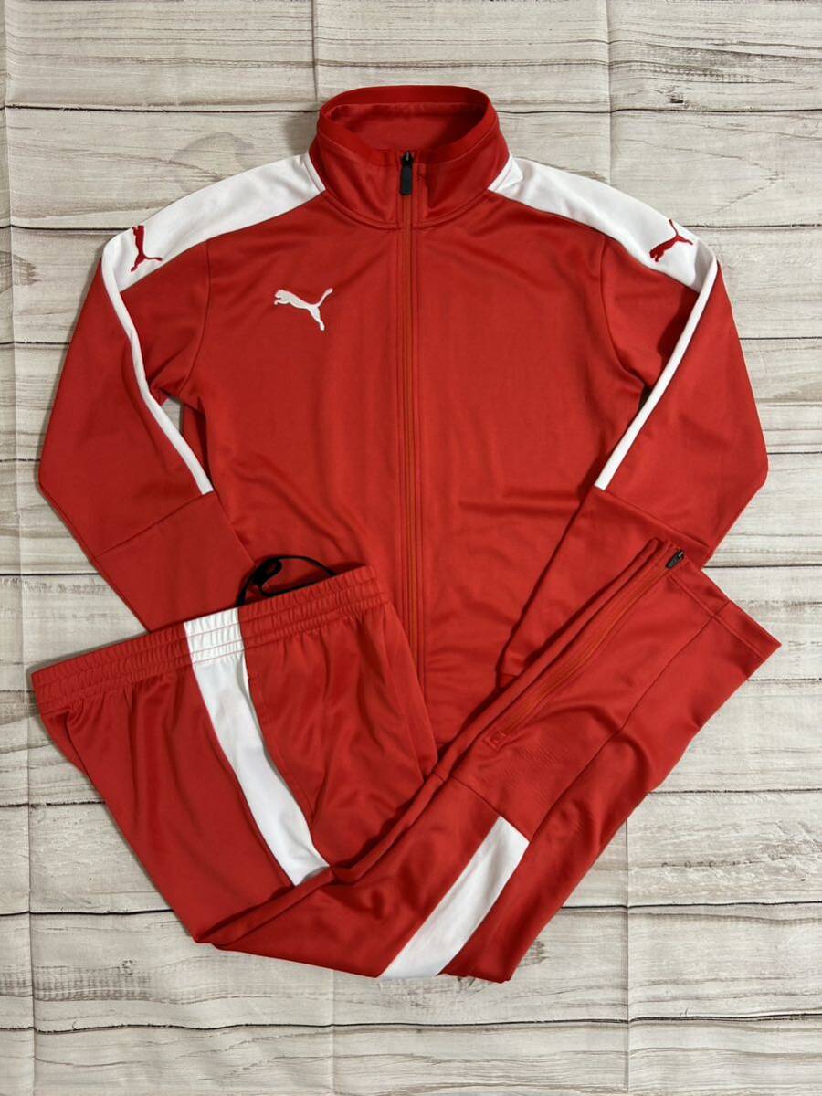 プーマ セットアップ ジャージ PUMA 赤 レッド メンズ S プーマ セットアップ ジャージ PUMA 赤 レッド メンズ S