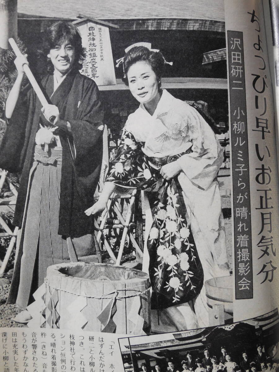 TVガイドテレビガイド 昭和52年 1977年 沢田研二 片平なぎさ TVガイドテレビガイド 昭和52年 1977年 沢田研二 片平なぎさ