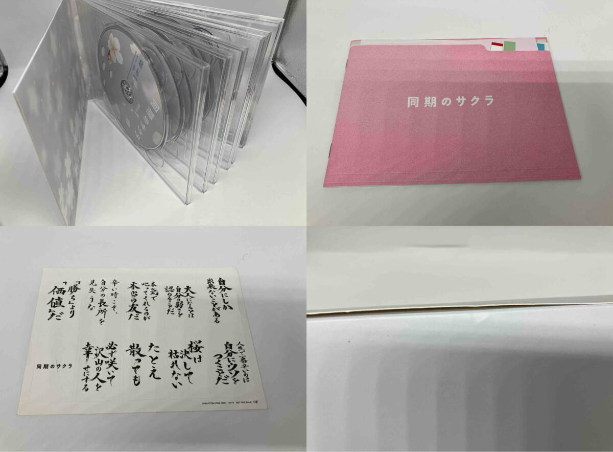 DVD 同期のサクラ DVD-BOX テレビドラマ DVD 同期のサクラ DVD-BOX テレビドラマ