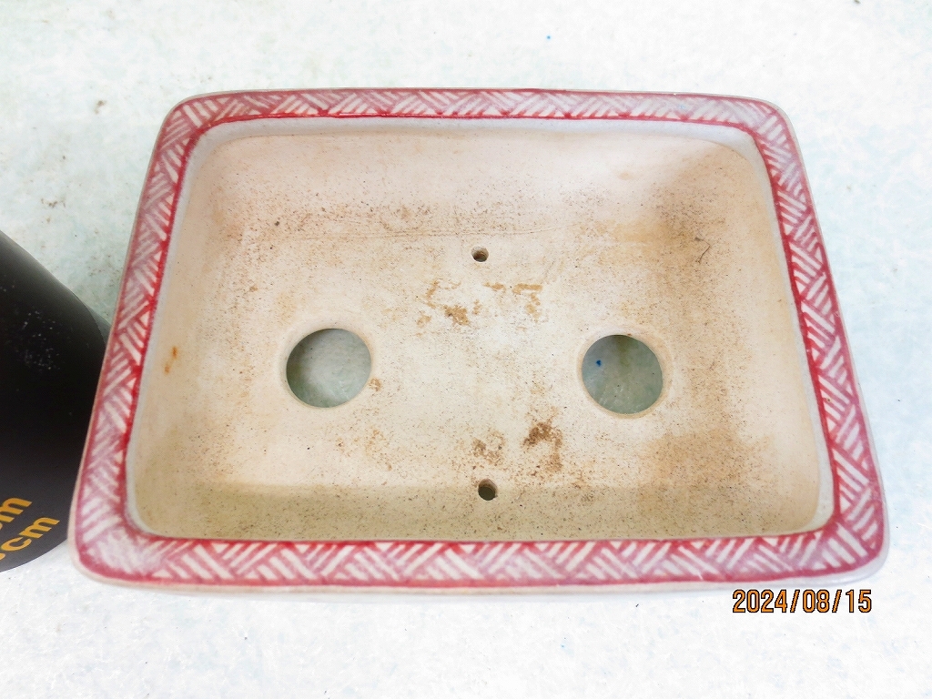 大型　佳山　盆栽鉢 佳山の立派な盆栽鉢 - メルカリ