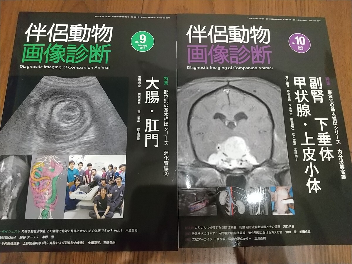 定価¥59400 伴侶動物画像診断 緑書房 10冊セット 小動物 臨床 定価¥59400 伴侶動物画像診断 緑書房 10冊セット 小動物 臨床
