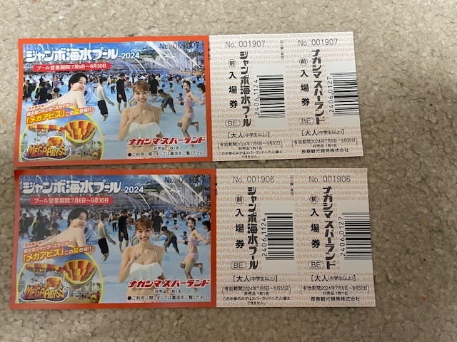 ナガシマジャンボ海水プール　入場券2枚セット