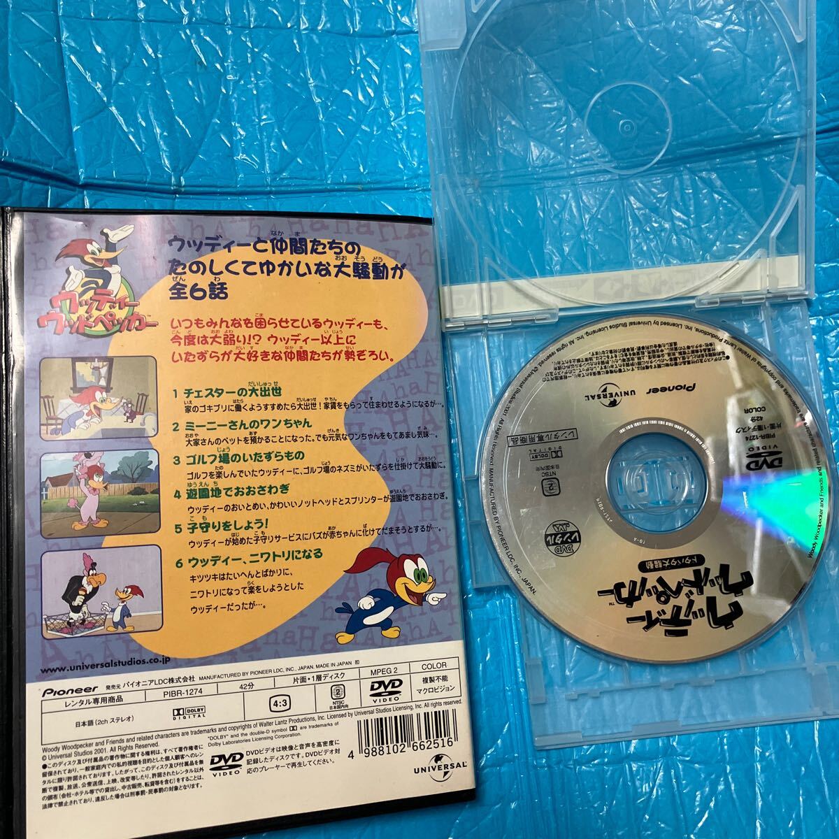  woody - Woodpecker dotabata large . moving DVD rental 