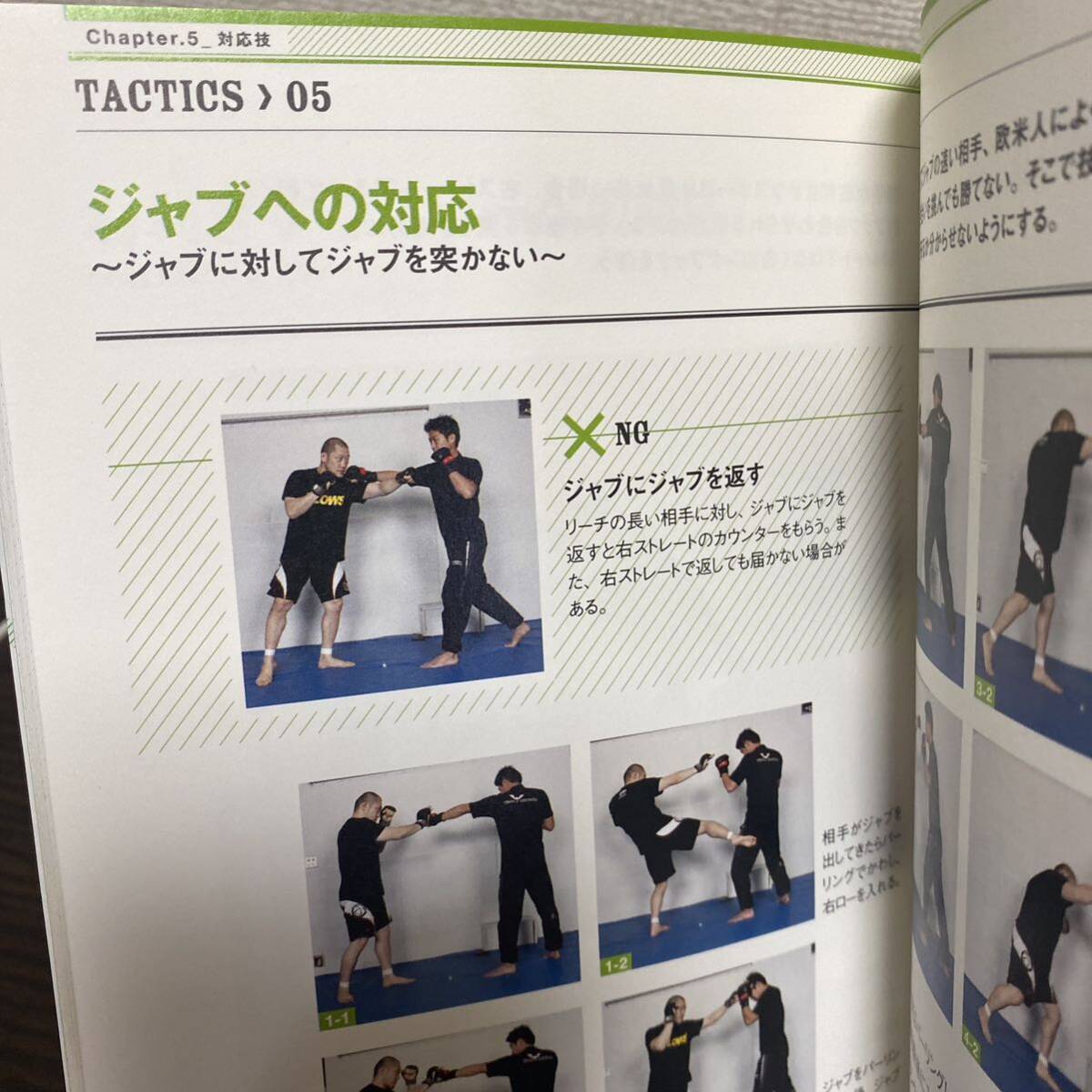 吉鷹弘の打撃革命 （「ＧＯＮＧ格闘技」実践ＤＶＤブックス　ＶＯＬ．１） 吉鷹弘／監修