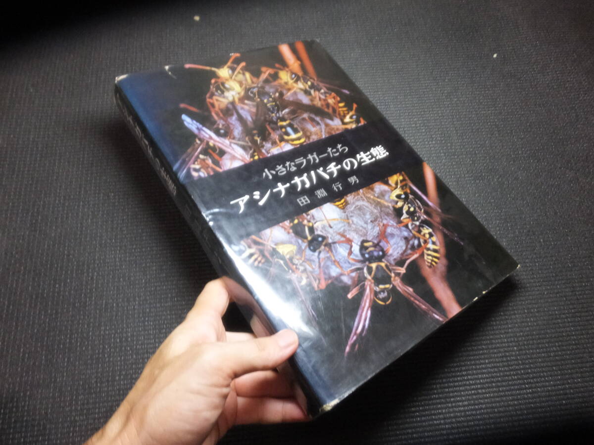 29410円 古書価25万円!田淵行男!小さなラガーたち 29410円 古書価25万円!田淵行男!小さなラガーたち