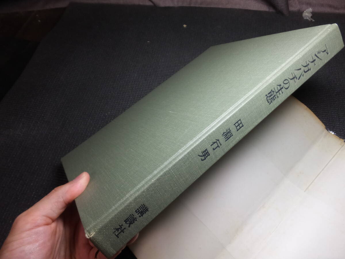 古書価25万円!田淵行男!小さなラガーたち!アシナガバチの生態 古書価25万円!田淵行男!小さなラガーたち!アシナガバチの生態