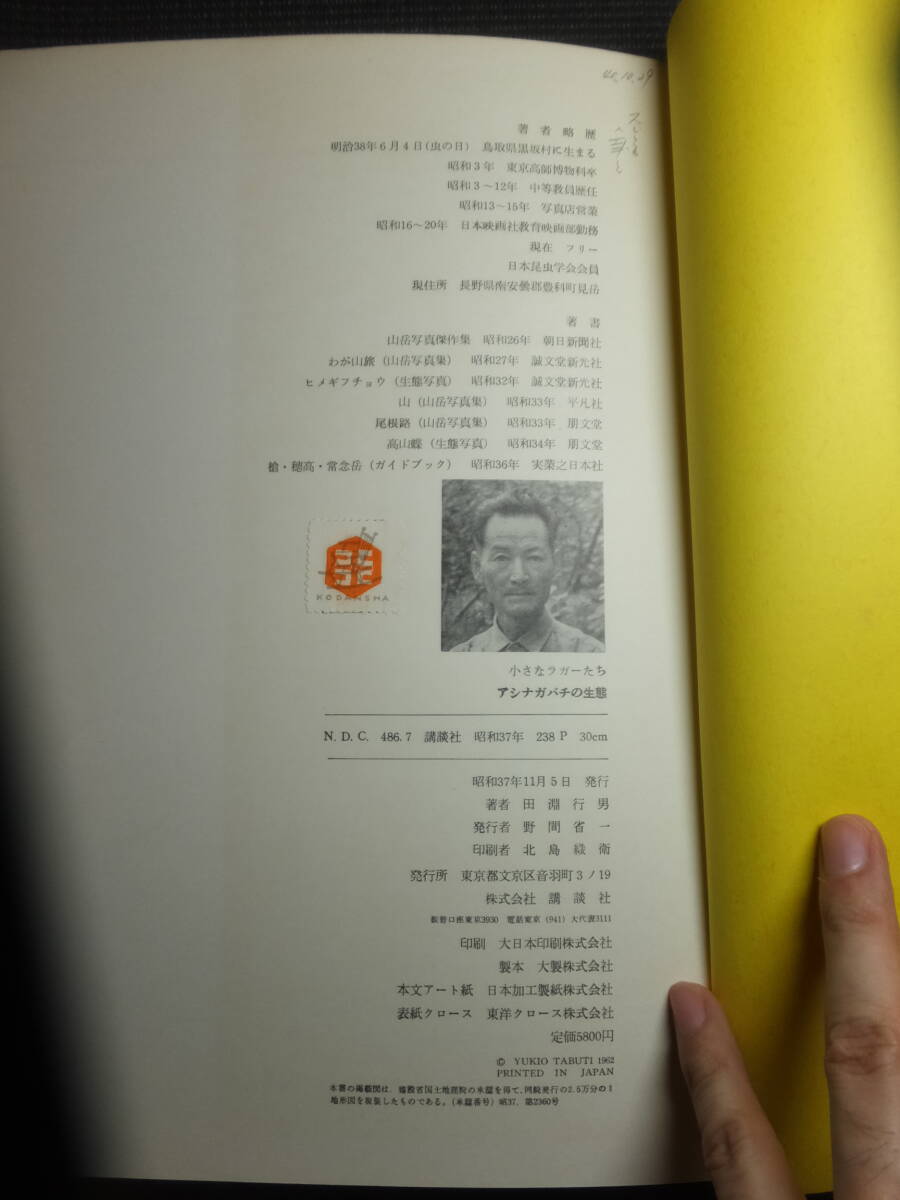 29410円 古書価25万円!田淵行男!小さなラガーたち 29410円 古書価25万円!田淵行男!小さなラガーたち