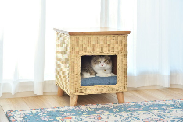 【ペットハウススツール】 スツール テーブル ペットハウス ペットベット 犬 猫 ペット クッション付き 脚付き 天板付き 天然木 木製