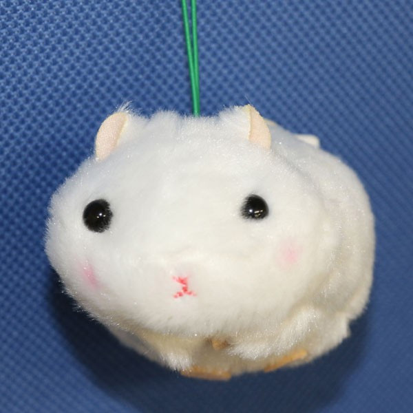 [ free shipping / prompt decision ] mascot hamster .. is . cologne ........1 piece color rubber cord attaching a Mu z714