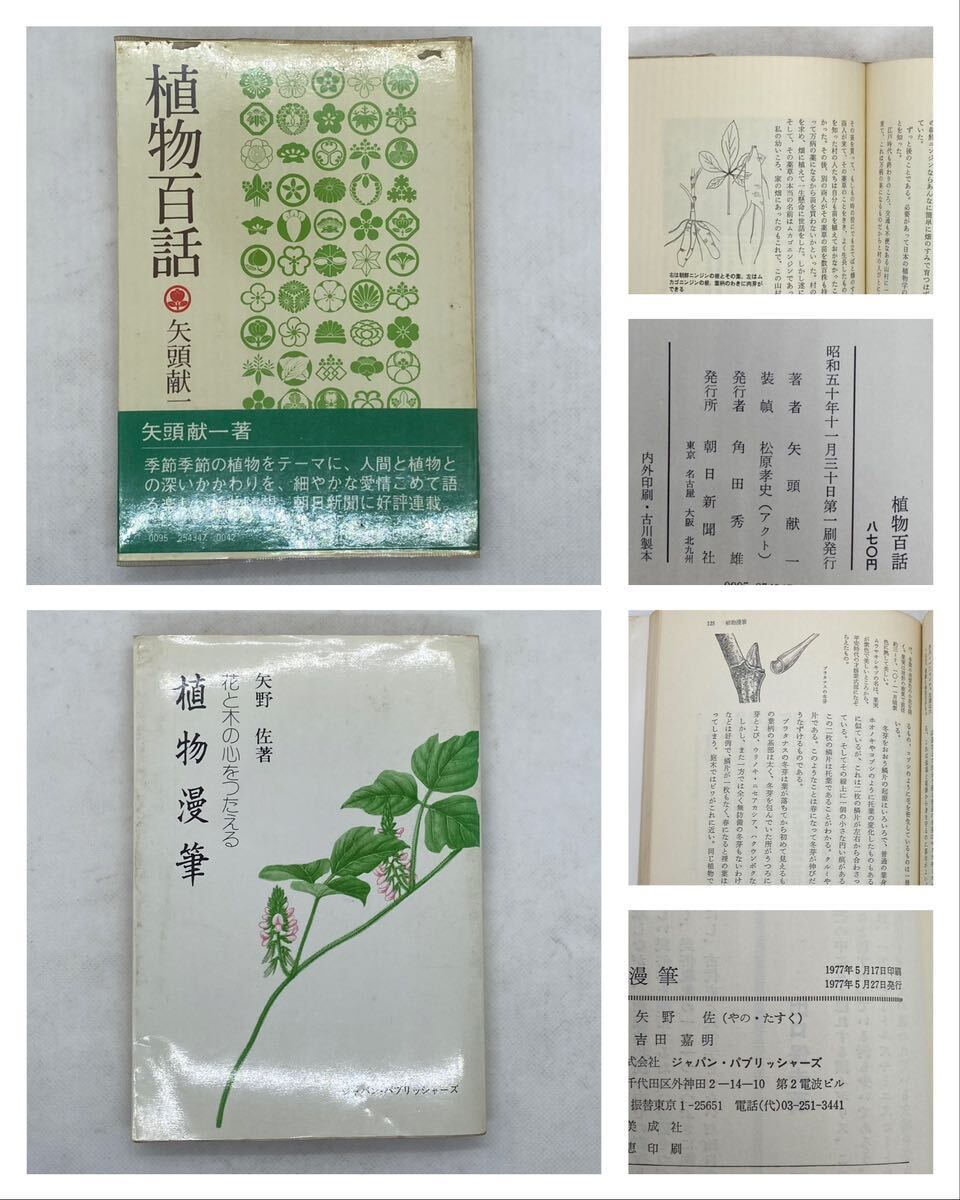  together 14 pcs. plant . race plant tanka dictionary plant . myth green . writing Akira plant 100 story .... etc. Showa era 