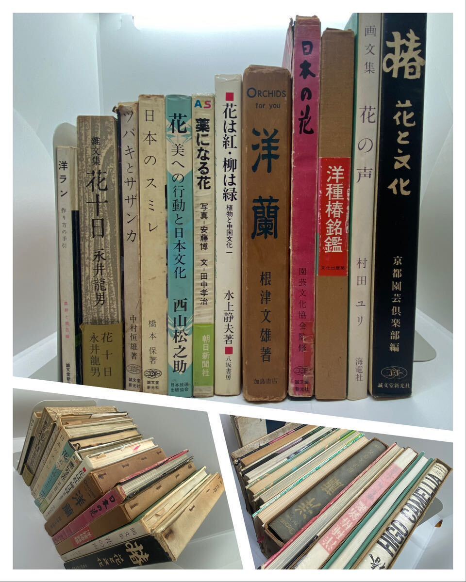 巻菱湖唐詩帖 菱湖先生 幕末の三筆 中国 唐本 和本 和書 漢籍 巻菱湖唐詩帖 菱湖先生 幕末の三筆 中国 唐本 和本 和書 漢籍