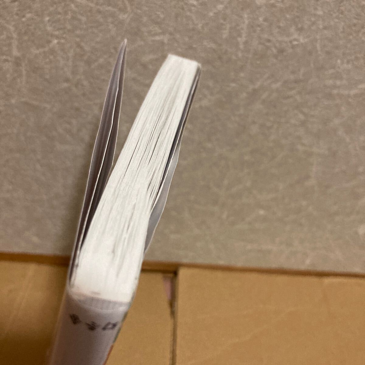 YK-5856 * с дефектом мир один. море соль ...-.. сила { высота дешево правильный .} иллюзия зима фирма минерал на остров ruli.. сырой рекомендация Guinness одобрено 1 день 10g. . брать Okinawa . лампочка