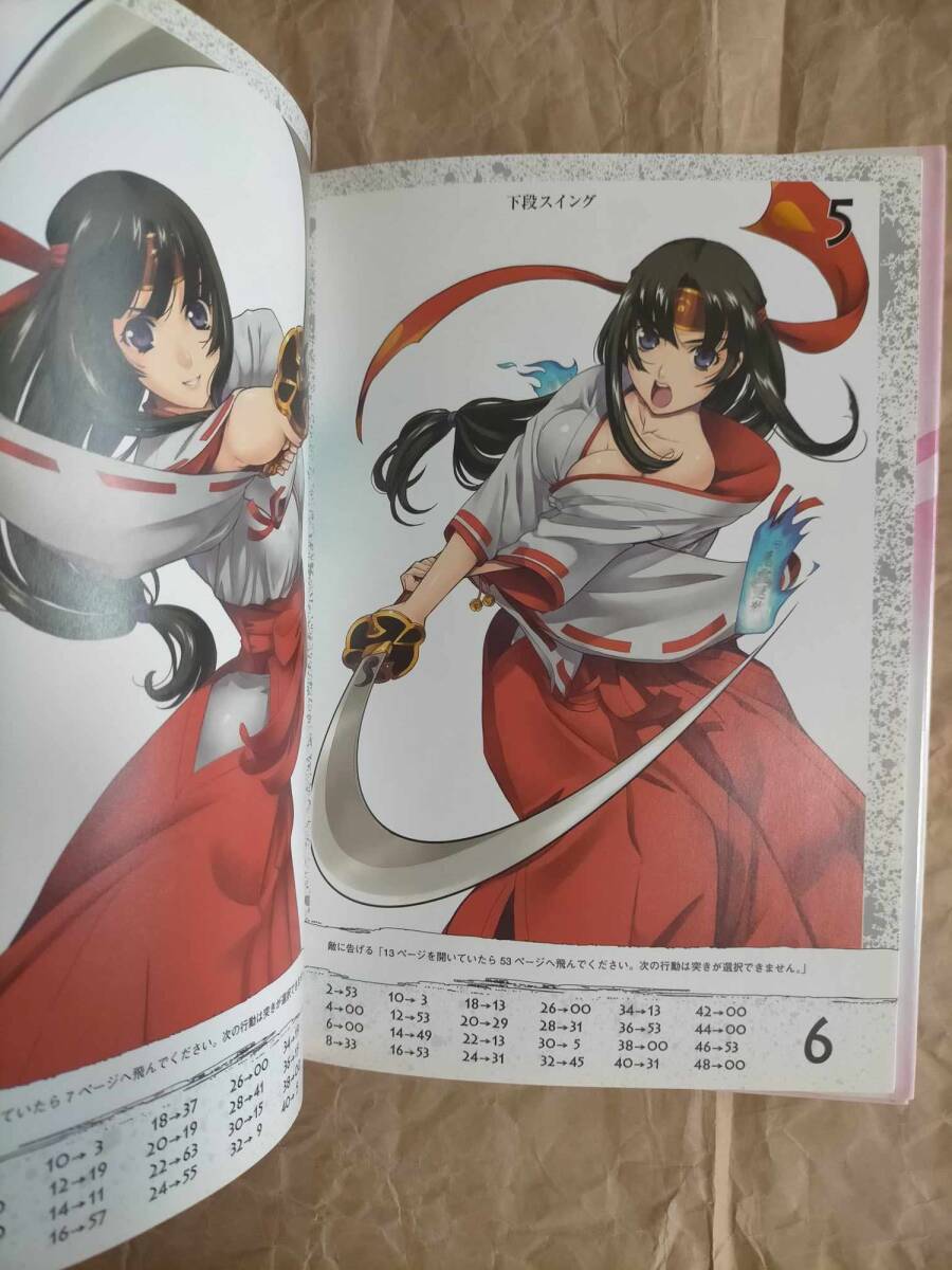 クイーンズブレイド 武者巫女 トモエ 巴 ゲームブック 本 えいわ クイーンズブレイド 武者巫女 トモエ 巴 ゲームブック 本 えいわ