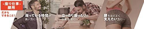 中山式ボディフレーム 座り仕事 腰用 Lサイズ