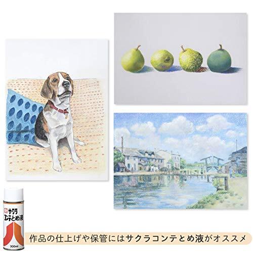 サクラクレパス パステル コンテパステル 24色 CT24_画像6