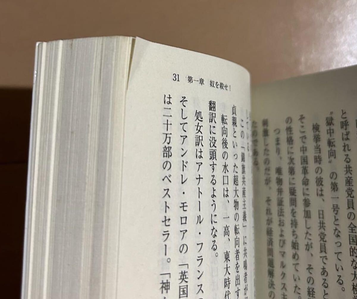 Bibian 比比昂- 【希少】絶版本:閨閥マスコミを支配しようと Bibian 比比昂- 【希少】絶版本:閨閥マスコミを支配しようと