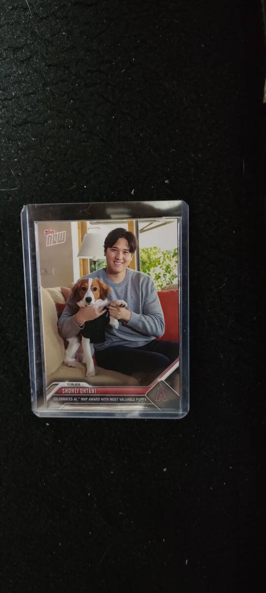 ◎PSA10鑑定済み 大谷翔平 Topps now OS-19 愛犬デコピンとの