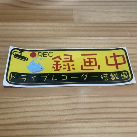 ジンベイザメ ドラレコ ステッカー 464 #oFUMI アウトレット