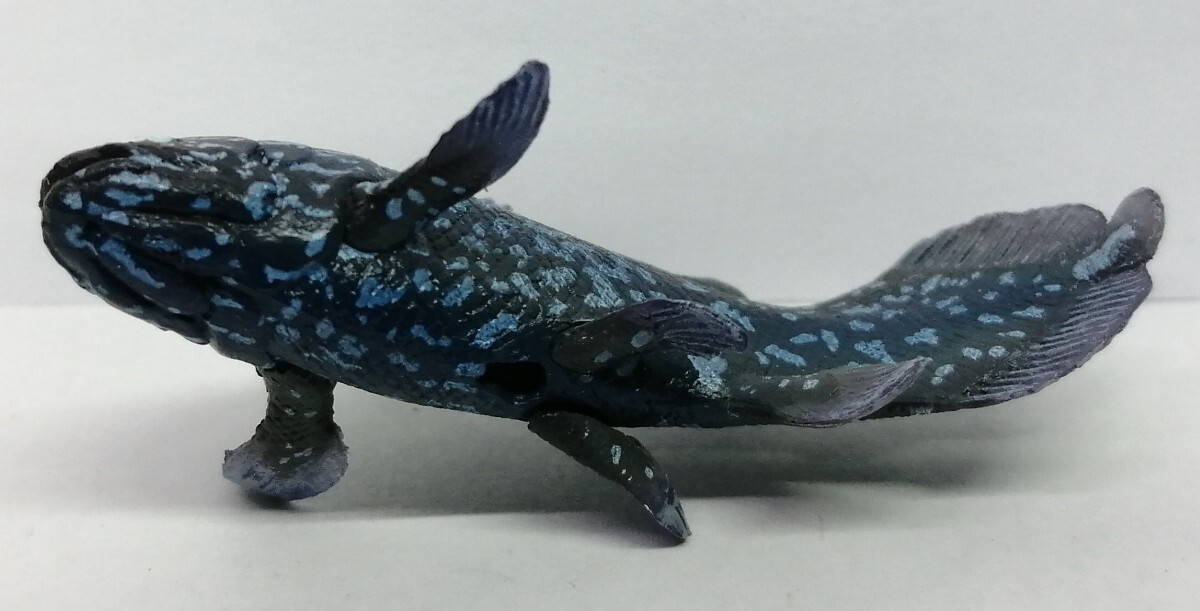 海洋堂 シーラカンス カプセルアクアリウム 日本水族館立体生物 海洋堂 シーラカンス カプセルアクアリウム 日本水族館立体生物