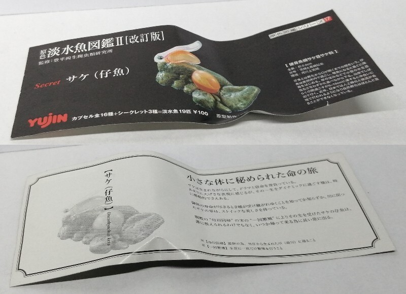  原色淡水魚図鑑 Ⅱ 改訂版　シークレット　サケ　稚魚　仔魚　卵　鮭　フィギュア