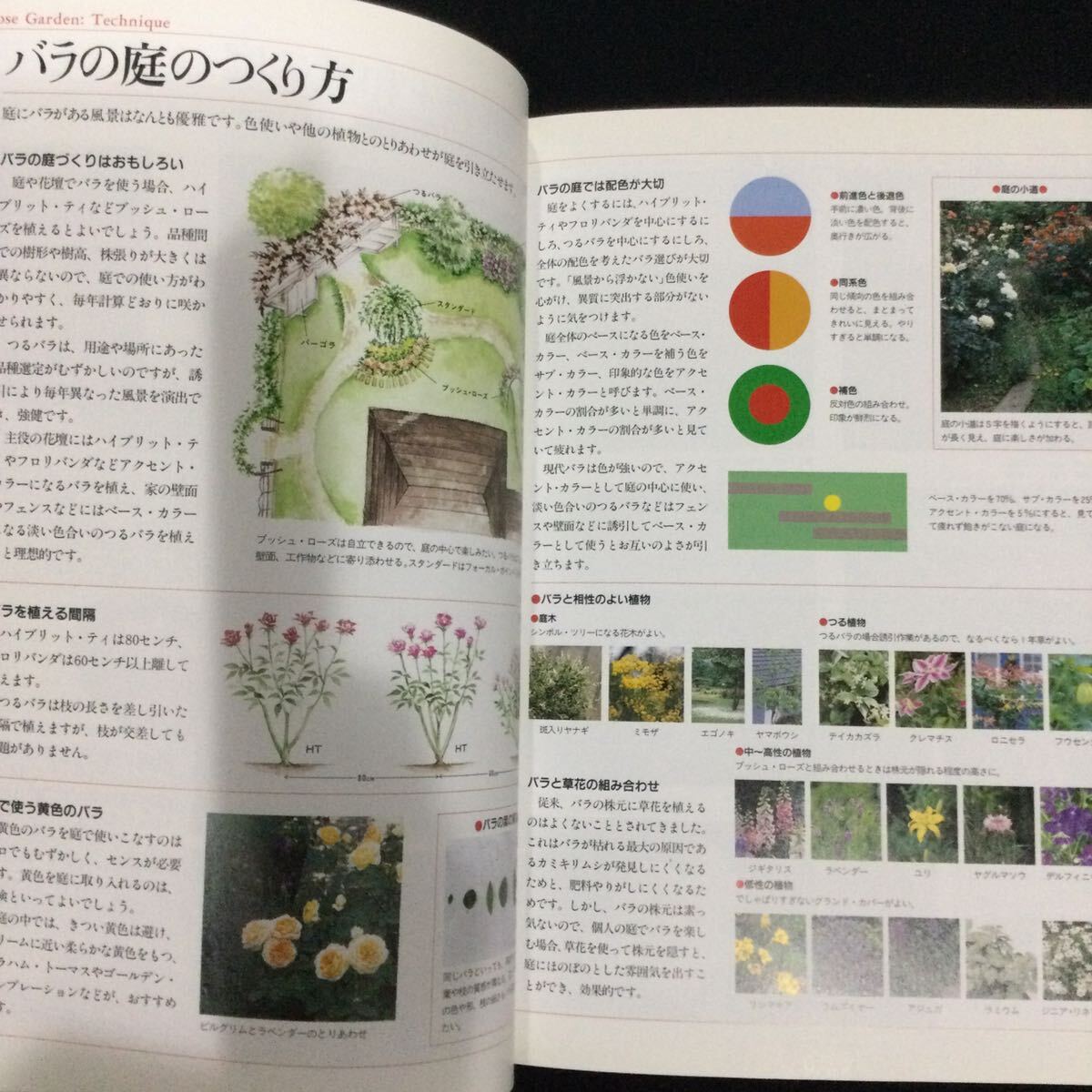 バラの咲く庭づくり　本　ガーデニング　薔薇　花　フラワー　庭園　ガーデン　植物