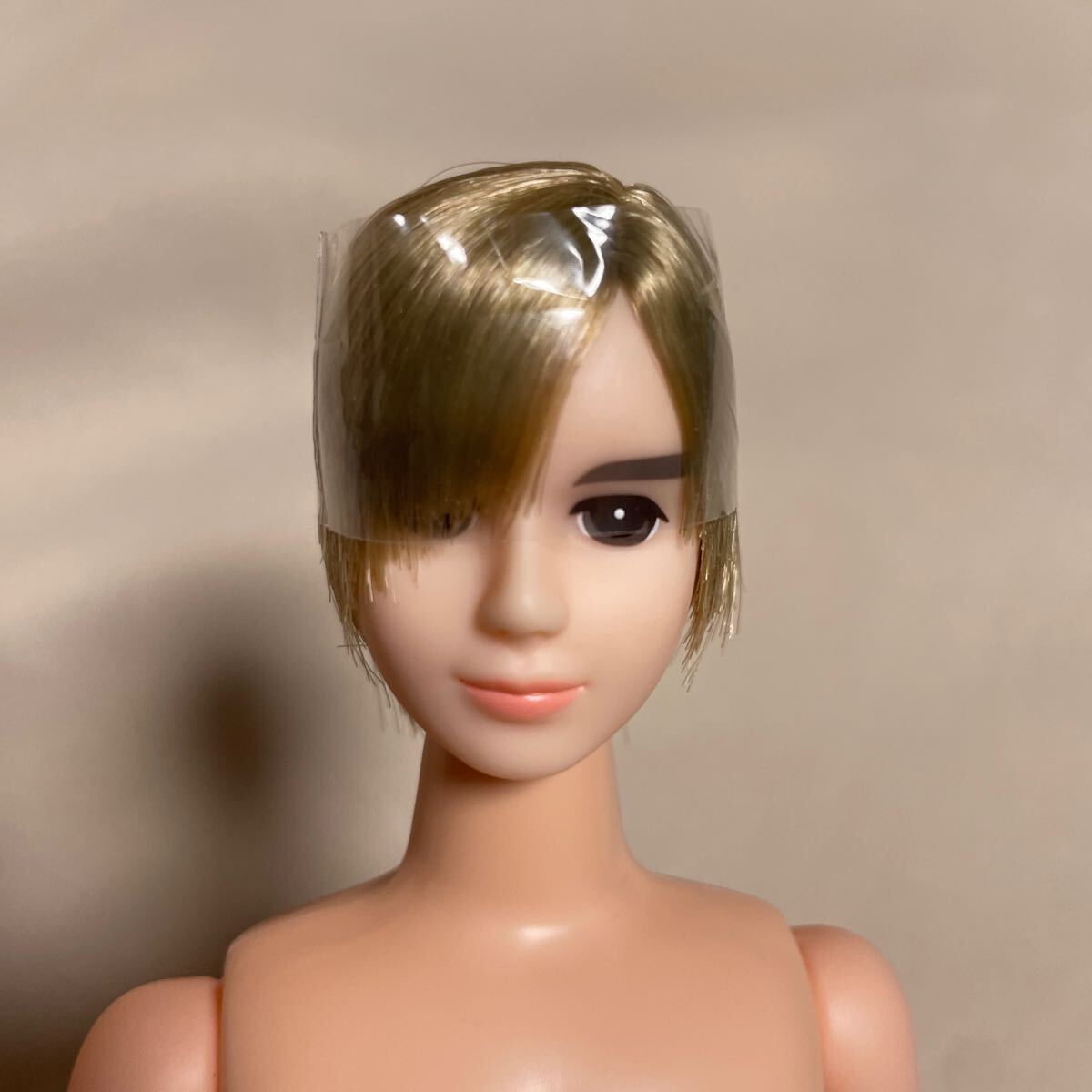 リカちゃんキャッスル ジェニー ボーイフレンド トム おたのしみ リカちゃんキャッスル ジェニー ボーイフレンド トム おたのしみ