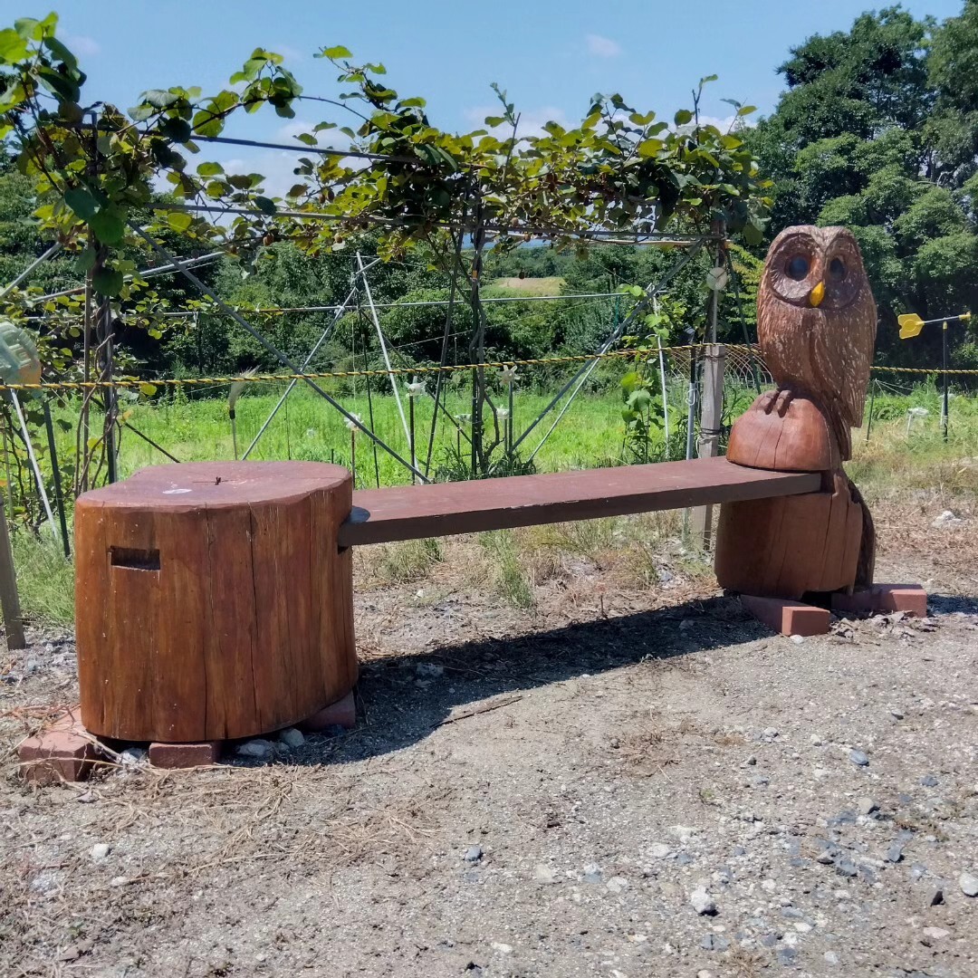 間伐材(杉)すぎで作製した自作のチェンソーアート作品(梟 間伐材(杉)すぎで作製した自作のチェンソーアート作品(梟