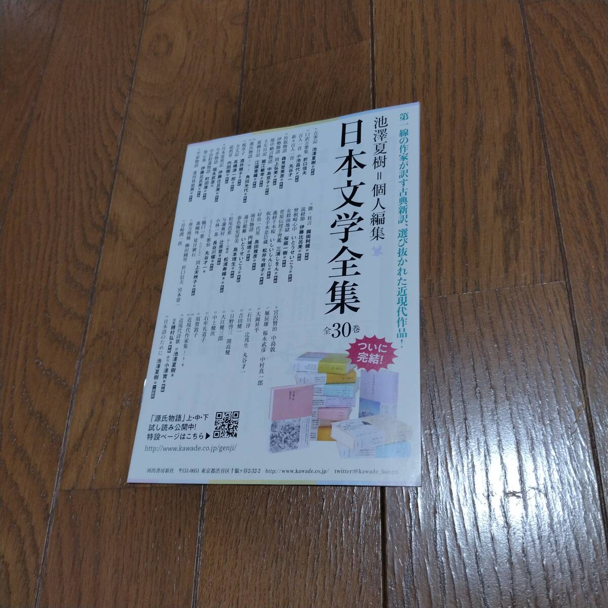 源氏物語 書店配布(試し読み、収録) 冊子 - ブックガイド、作家入門
