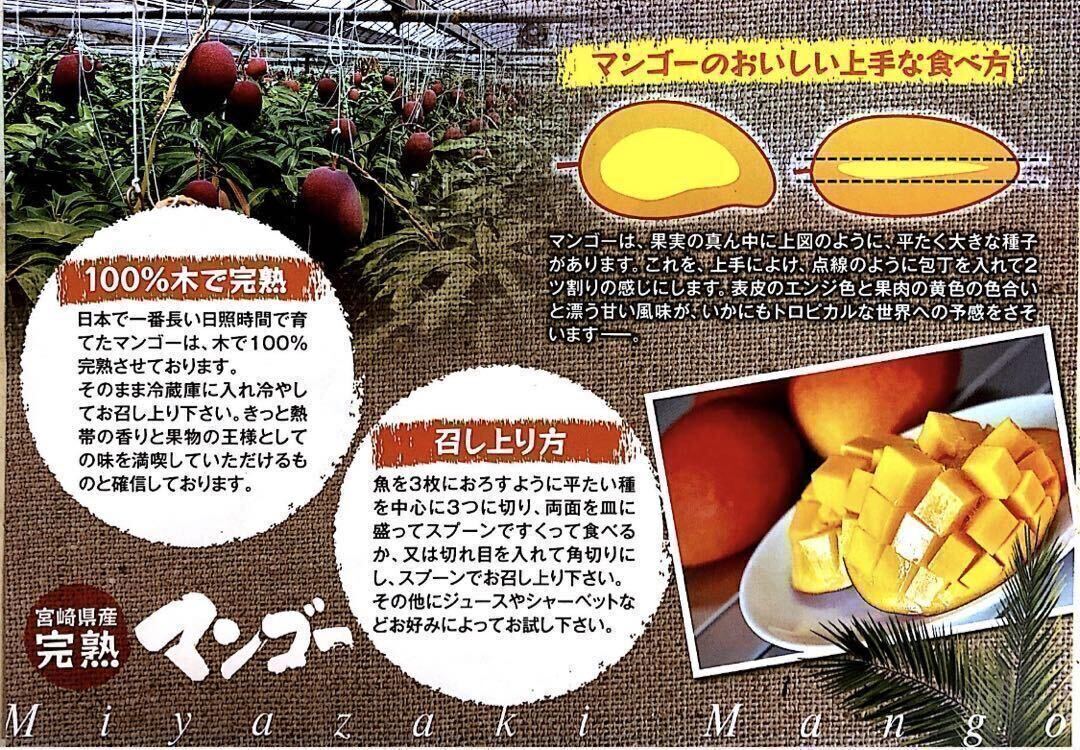 宮崎県産 完熟マンゴー 訳あり 5-6玉 2kg 宮崎県産 完熟マンゴー 訳あり 5-6玉 2kg
