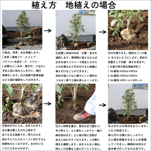 item_image_10
