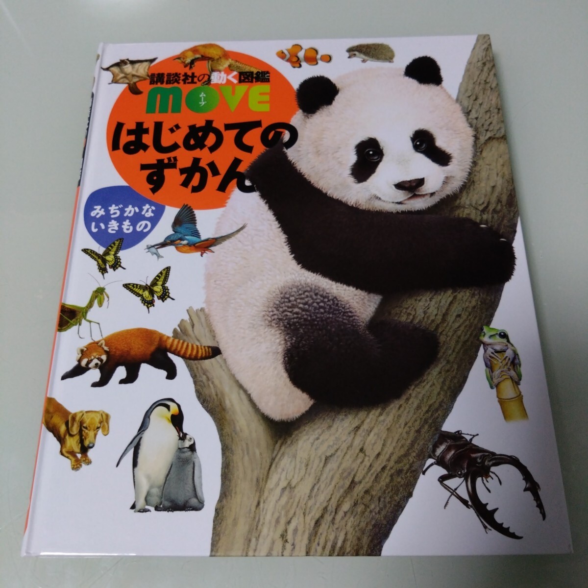 講談社の動く図鑑MOVEはじめてのずかん DVD付き 児童書 絵本 講談社の動く図鑑MOVEはじめてのずかん DVD付き 児童書 絵本