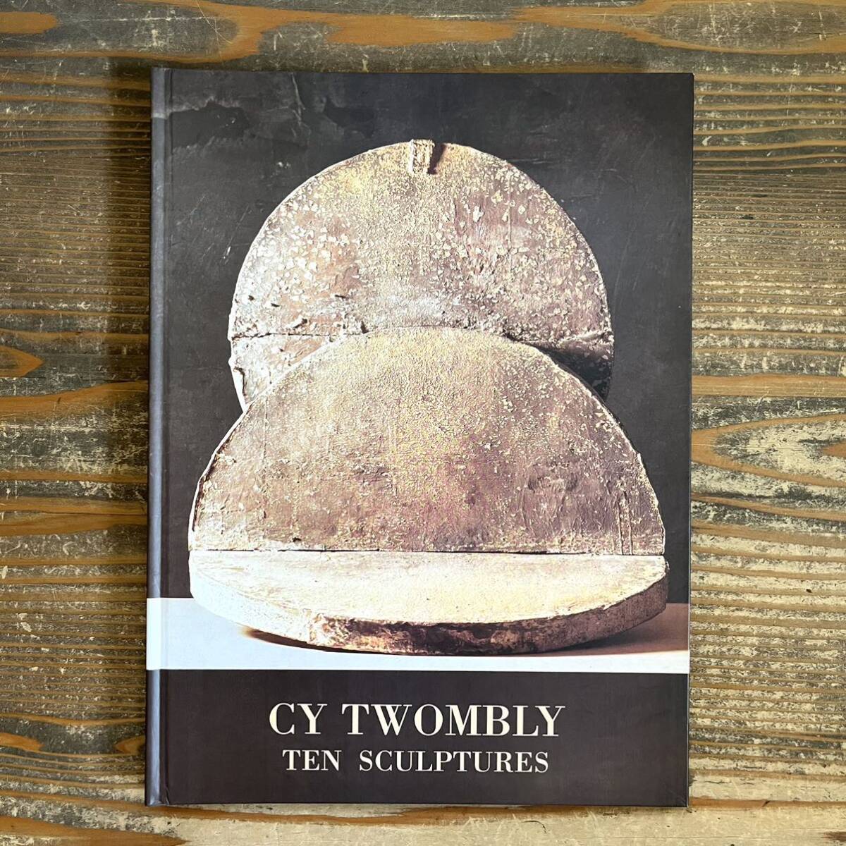 CY TWOMBLY / TEN SCULPTURES / GAGOSIAN GALLERY サイ・トゥオンブリー　本　彫刻　