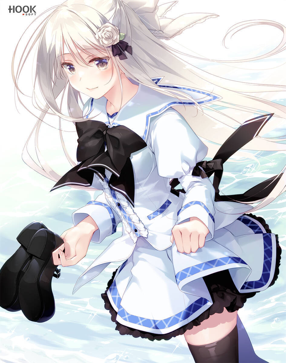 PriministAr フルHDリマスター 豪華限定版 同梱特典 B2Wスエード クロスポスター 枝那森千里　HOOKSOFT もとみやみつき 松下まかこ