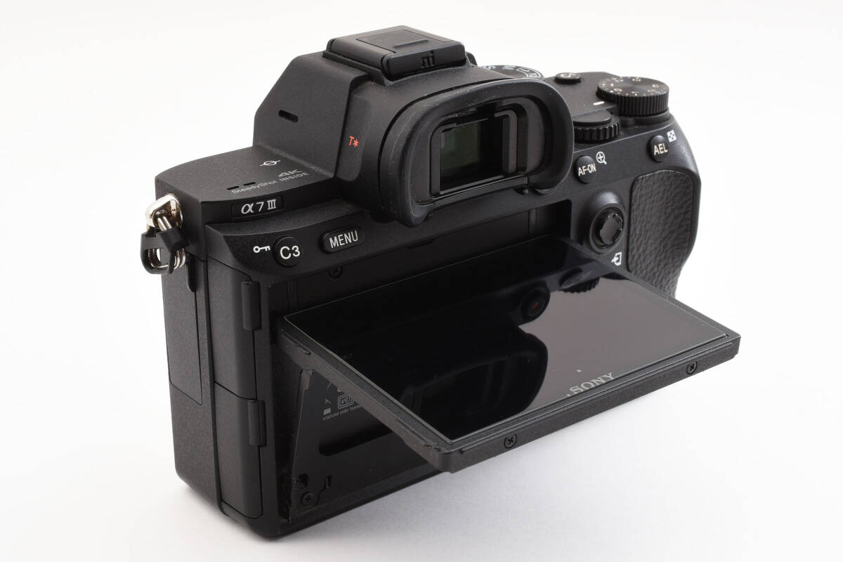 美品】ソニーSONY α7 ll ILCE-7M2 防湿保管 ショット数:3607枚 美品】ソニーSONY α7 ll ILCE-7M2 防湿保管 ショット数:3607枚