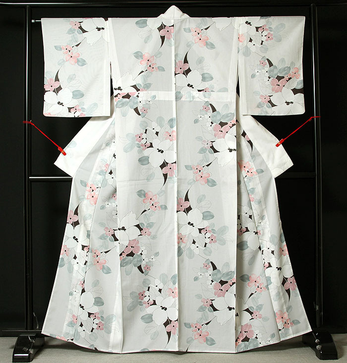 オリジナル Summer breeze サマーブリーズ ビカクシダ oc 子株