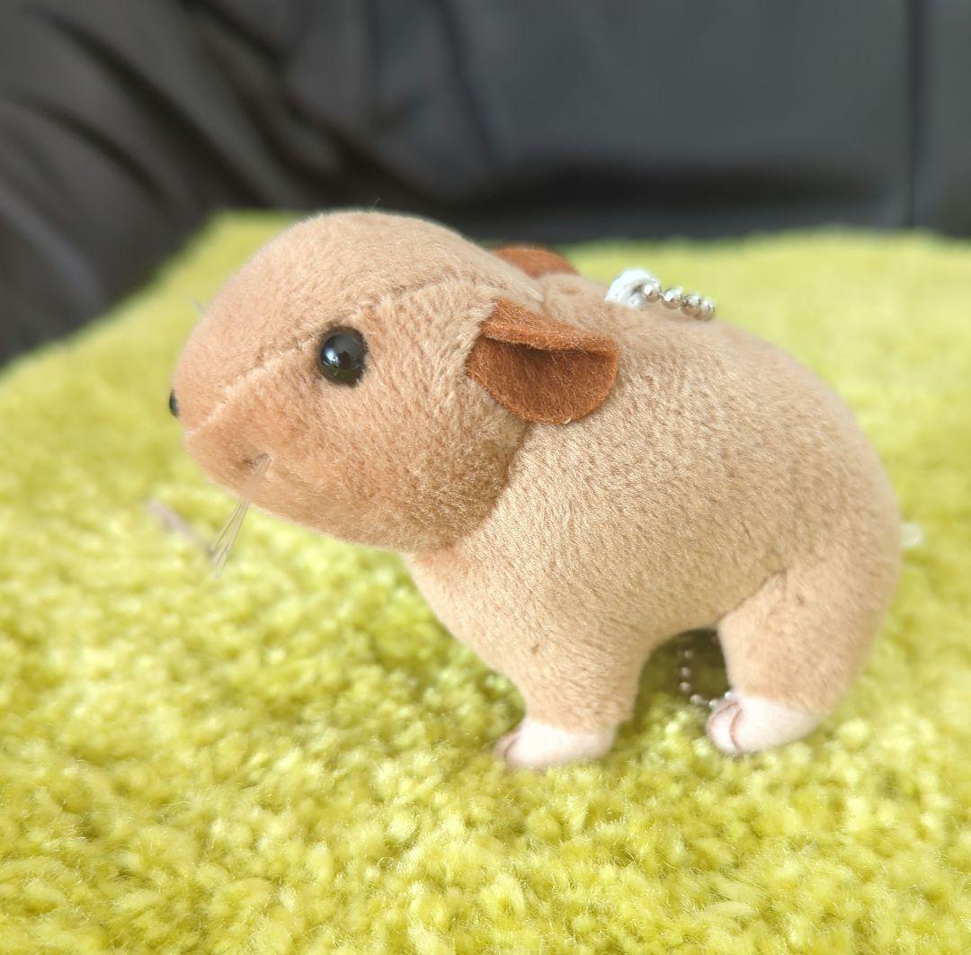 item_image_10
